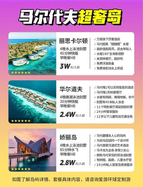 保利托农游戏技巧分享:快速致富买岛指南