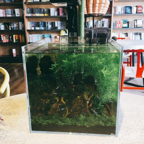 解锁海阁秘密：舒适咖啡馆模拟经营游戏深度介绍！