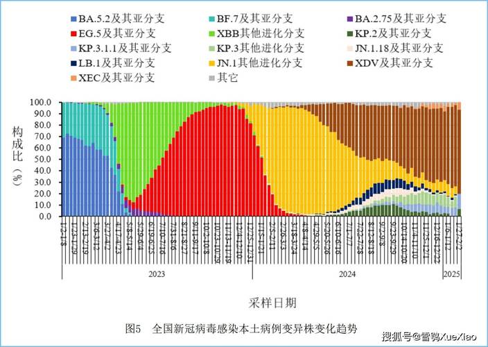 变异区最新进展：关于病毒变异的权威解读