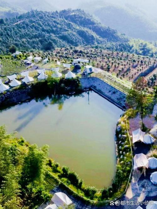 如何安全下载真三国无双绅士版？避坑指南分享