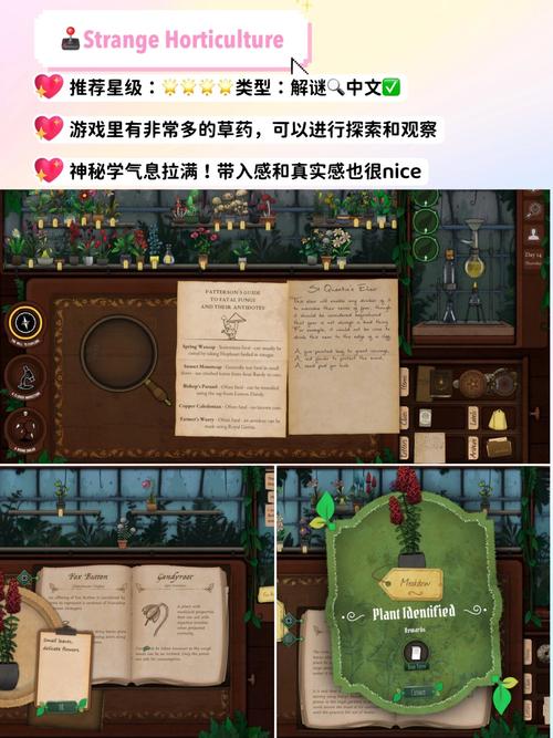 可爱的女巫3官网：超萌女巫等你来解谜闯关