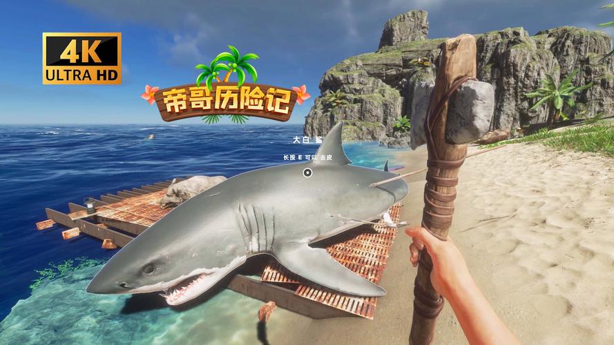 最新孤岛求生游戏攻略:挑战与生存完美结合