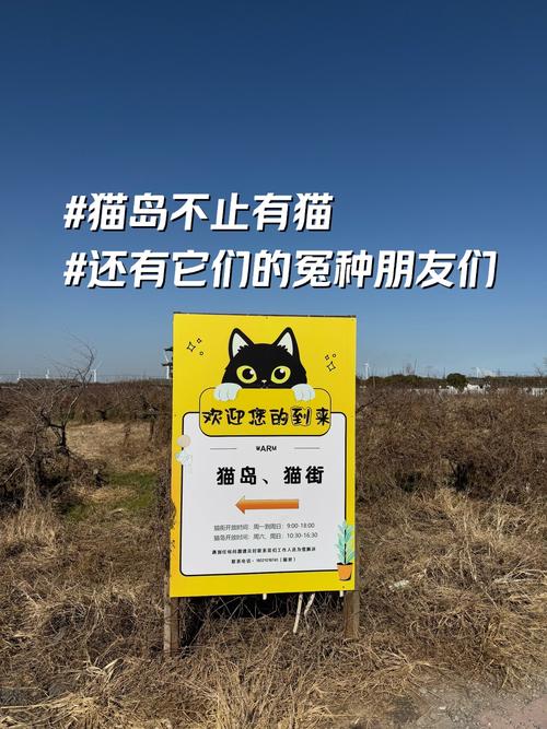 如何知道喵喵岛2的最新版本？版本更新日志及下载链接