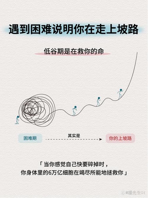 还在迷路？峰回路转官网带你找到方向！