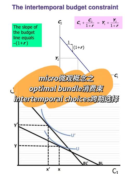 经济胁迫?COERCION官方网站权威解读