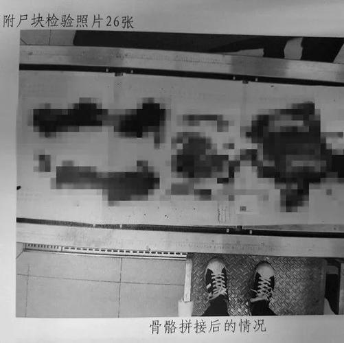 想下载尸？这里有你需要的完整下载教程