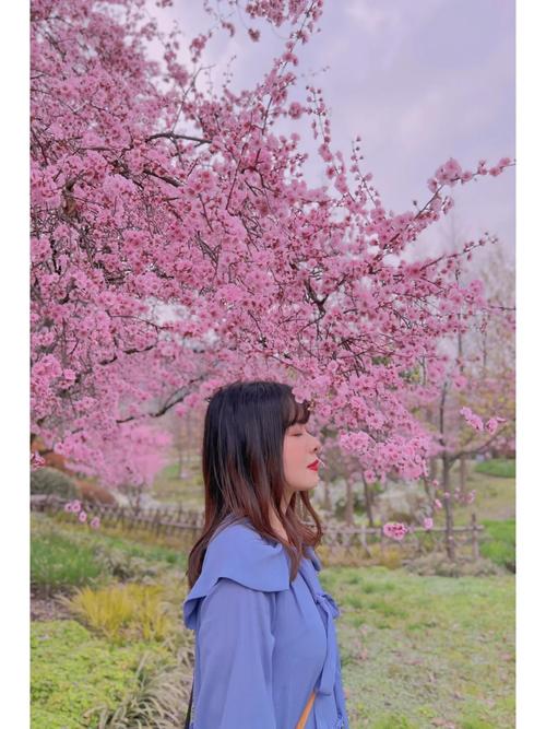 一夏之花更新地址在哪里？最新剧情更新内容一览