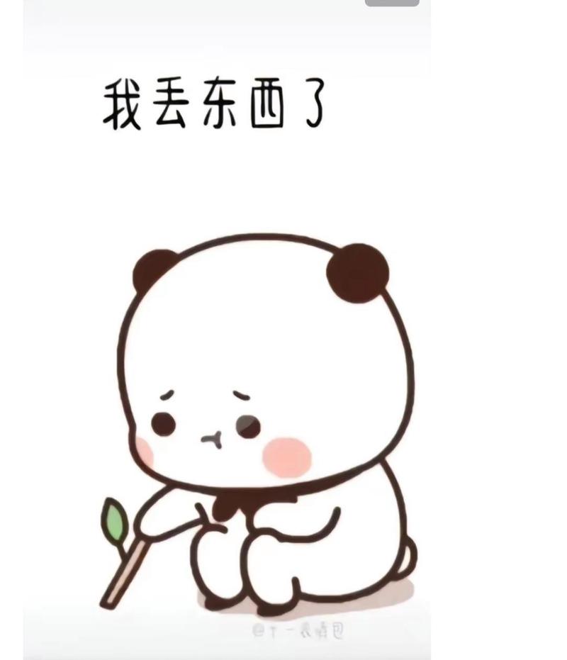 我的东西丢了,遗失更新地址能帮我找回吗?