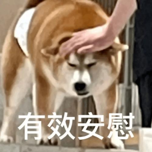 你想知道的变态监狱汉化版最新更新都在这里!