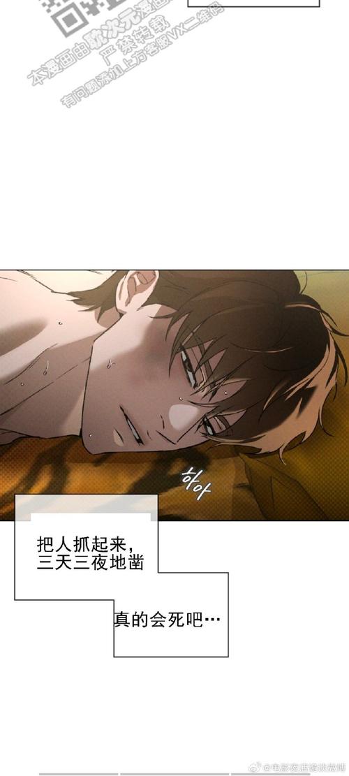 欲望岛游戏最新版本是多少？这里有你想要的答案！