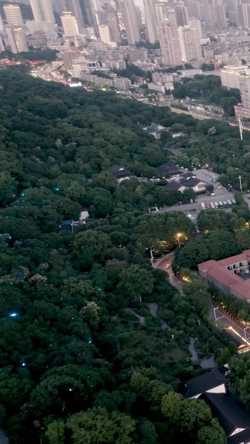 东区V0.5.2安卓下载：探秘都市精彩故事