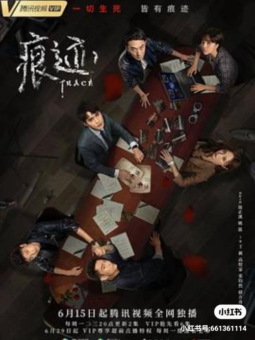 你与我的六月版本大全：完整版资源免费获取及使用指南