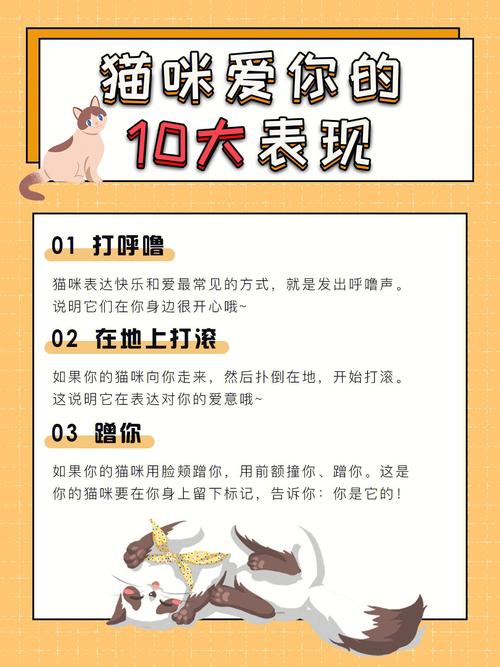 当你的猫咪官网下载：完美结局攻略，快来体验恋爱养成！