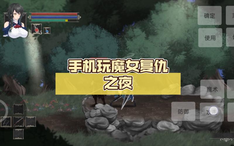 圣骑士复仇之夜汉化版最新更新：内容详解及下载