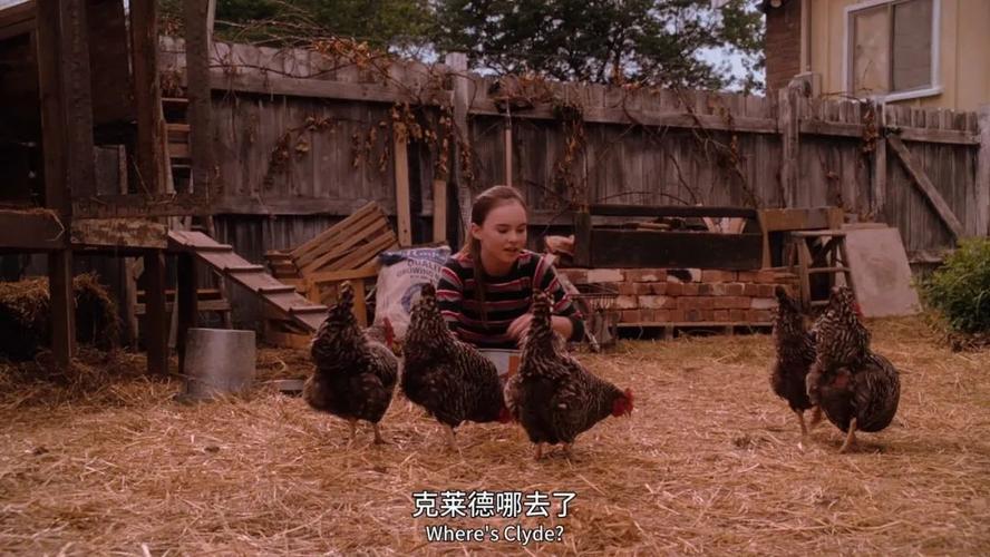 打工人的十日女友最新剧情：感受不一样的恋爱故事