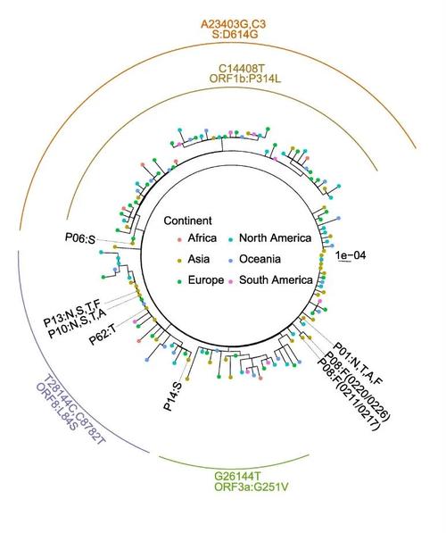 变异区最新进展：关于病毒变异的权威解读