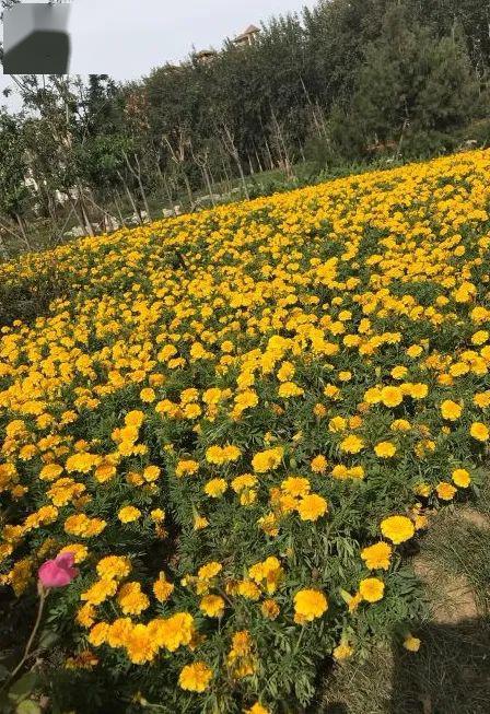 想了解熟女天堂别墅汉化版最新更新？这里有最全面的内容介绍！