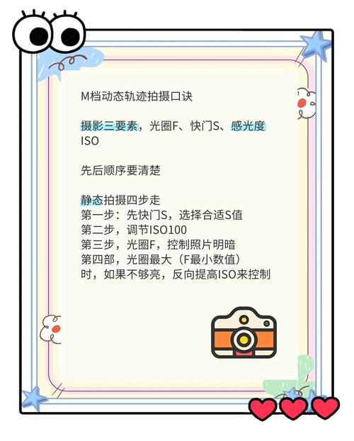 导演请拍摄各种各样的我下载方法，简单快速，轻松上手！