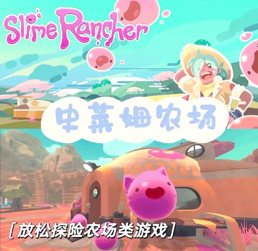 我的乡村生活游戏攻略：从新手到专家，轻松上手