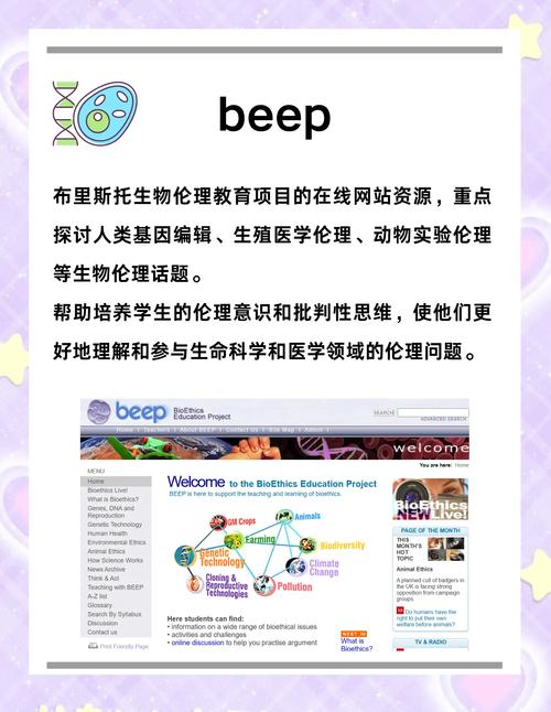 生命竞赛官方网站入口:最新比赛动态及结果查询