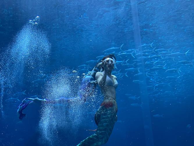 美人鱼之迷安卓下载安装：和美人鱼一起探索海底世界！