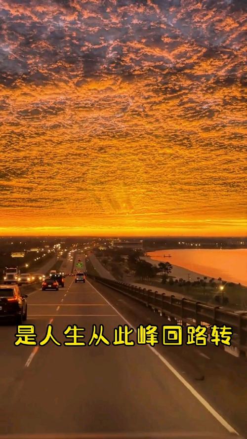 还在迷路？峰回路转官网带你找到方向！