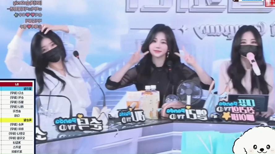 解锁jinricp韩国女团安卓版,精彩内容等你体验