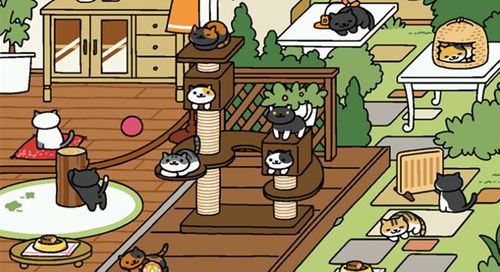 想玩捡到千年猫？全版本合集带你了解