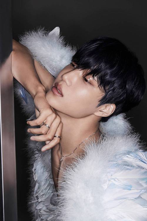 KAI合集下载地址大全：超全资源等你来拿