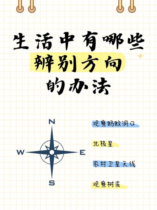 还在迷路？峰回路转官网带你找到方向！