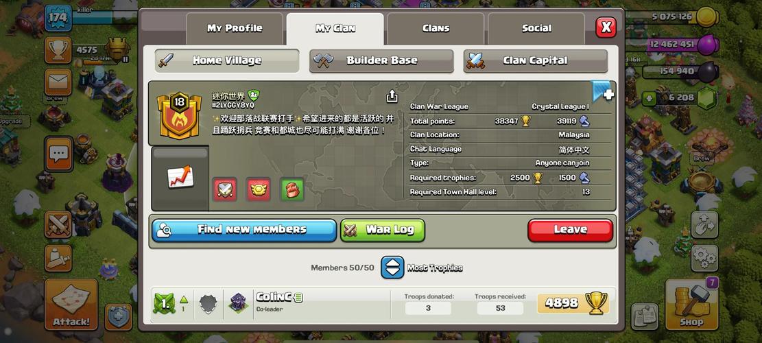 族长游戏玩法详解：快速发展壮大你的部落