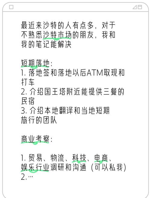 商务旅行游戏攻略：NTR剧情深度解析及玩法技巧详解