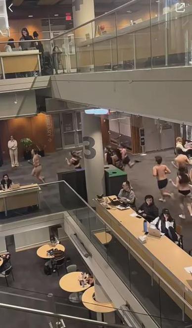 想了解裸体学院裸体学校？这款游戏究竟有多火？