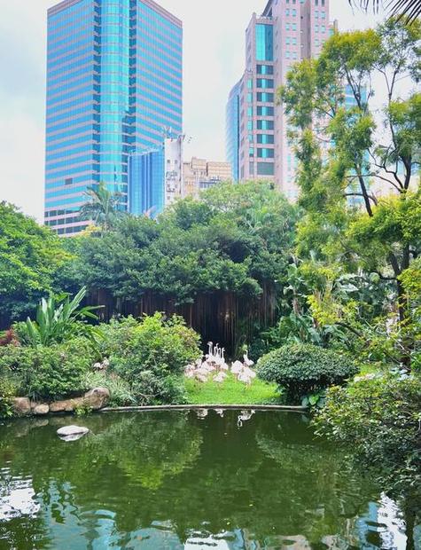 如何安全下载真三国无双绅士版？避坑指南分享