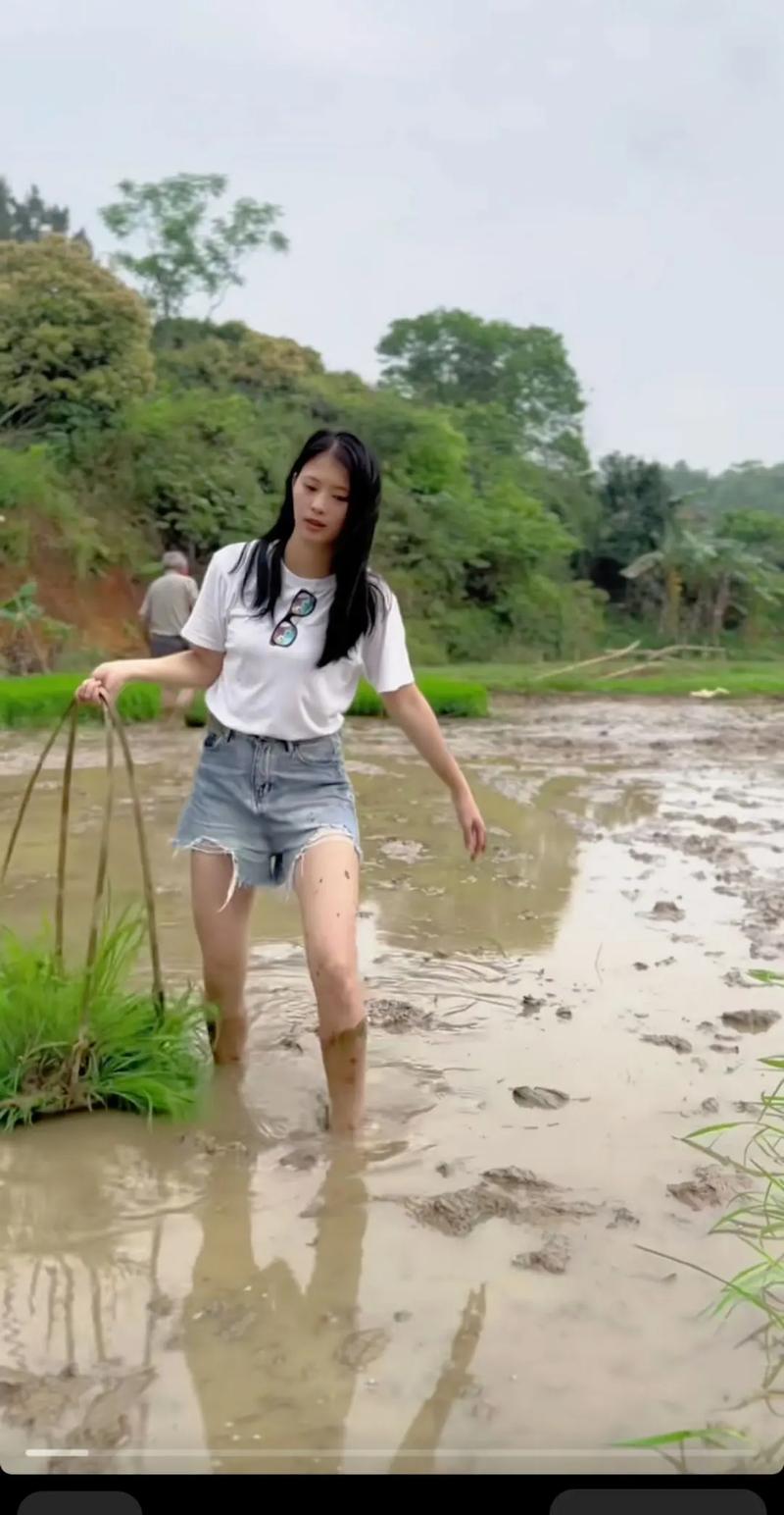 想玩乡下生活,哪个版本是最新最完整的?