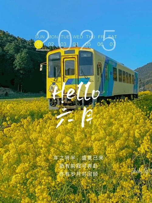 你与我的六月下载地址:哪里能下载到?