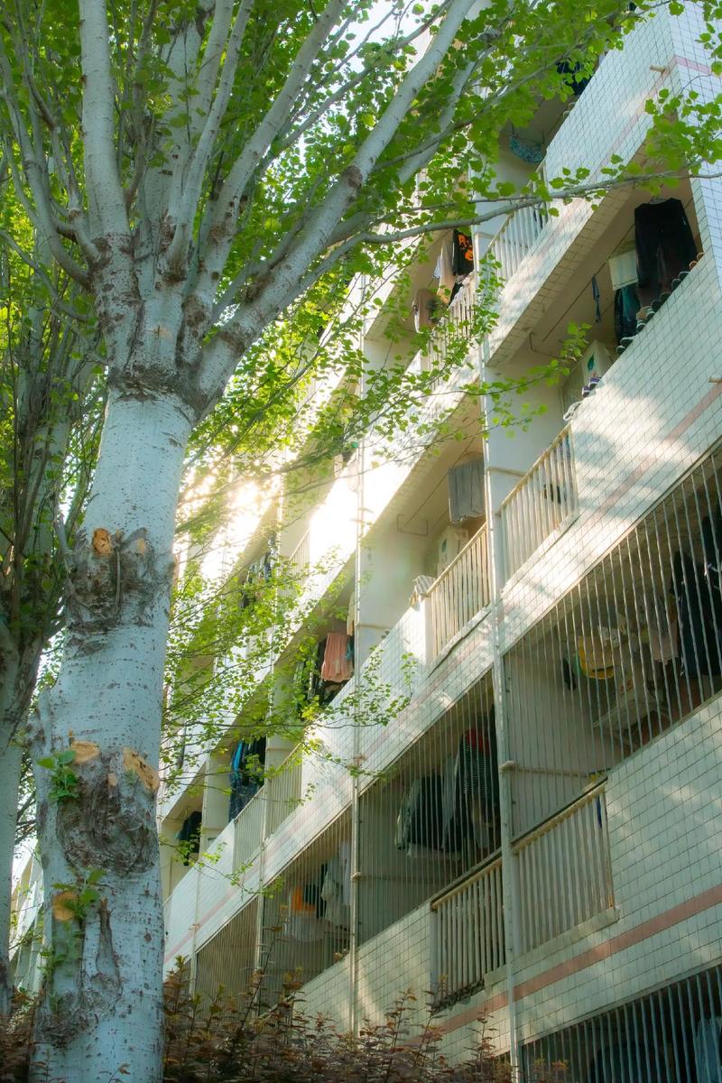 阳光下的真实最新怎么玩?教你三个实用技巧轻松上手!