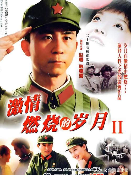 激情燃烧的岁月下载步骤详解?(官方最新版一键操作指南)