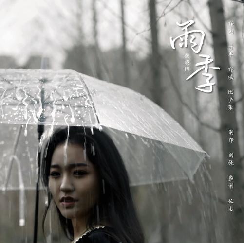 雨季官网到底是什么网站?(详细揭秘平台功能和好处!)