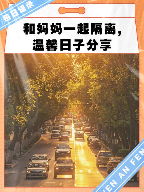 与妈妈一起隔离更新地址：最新隔离点信息及注意事项