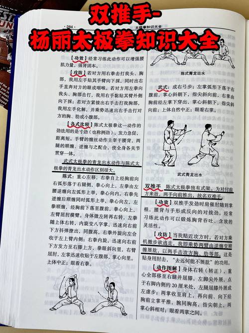 双修武林官网怎么玩？高手进阶技巧分享！