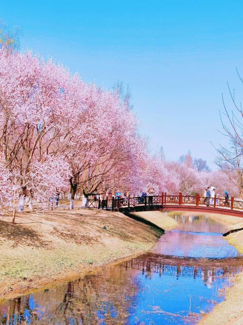 桃花境最新版本是多少?与其他版对比谁更好?