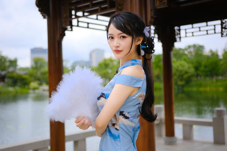 庭树沐年游戏攻略大全:新手入门到高手进阶