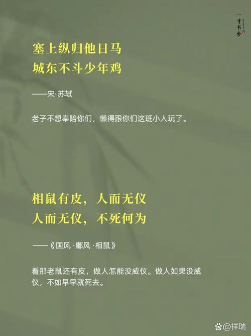 厚颜无耻的十四行诗安卓汉化怎么下载？(教程指导新手快速搞定)