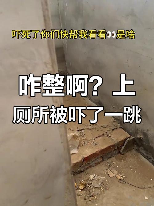 厕所里奇怪的声音下载地址哪里下？(推荐5个靠谱免费网站)