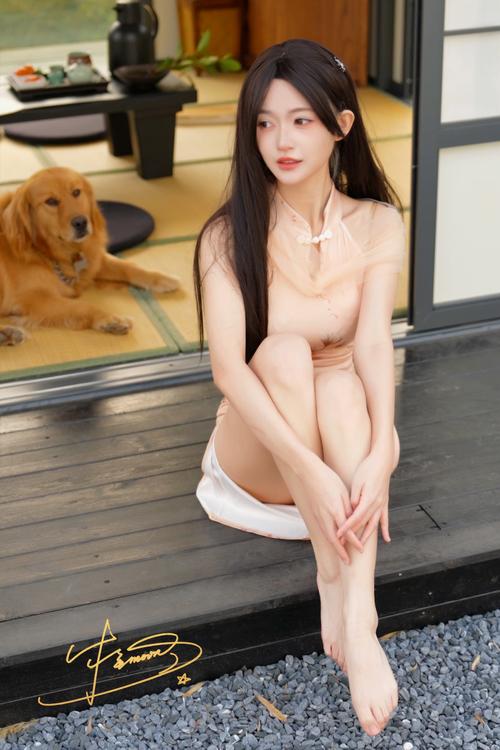 庭树沐年游戏攻略大全:新手入门到高手进阶