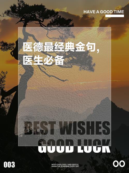 医德最新版本有什么变化？新版本亮点功能抢先看