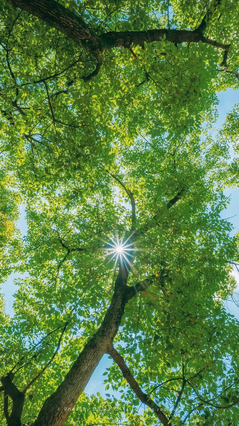 阳光下的真实最新怎么玩?教你三个实用技巧轻松上手!