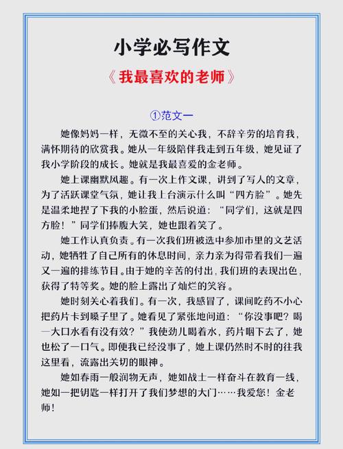 最喜欢的老师在哪下载？手机电脑通用指南教程！