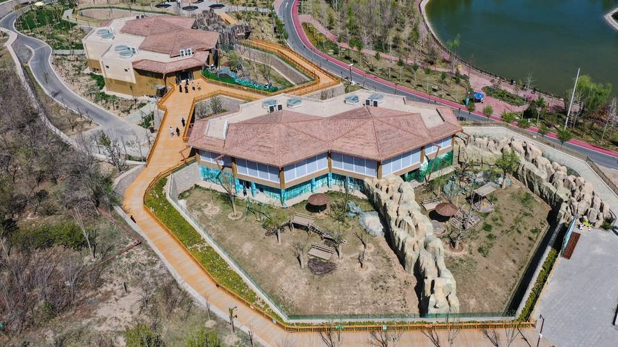 蓝宝石野生动物园下载地址教程大全(三步搞定免广告安装)